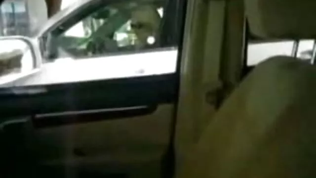 Czarny peryskop, filmy o seksie za darmo pies