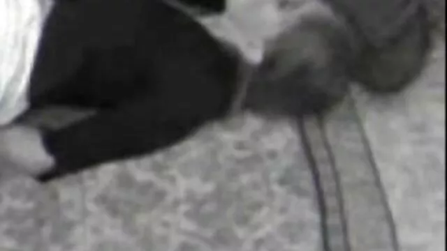 Dała mu łóżko w darmowy film o seksie łazience.
