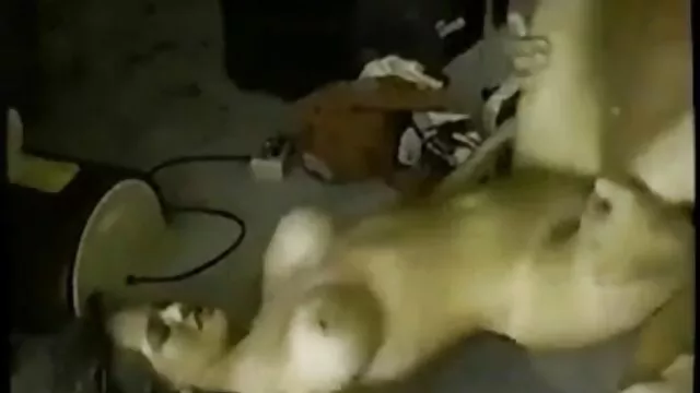 W głąb wąskiej cale darmowe filmy erotyczne
