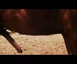 No dalej, to się pieprzyć darmowe filmy stare