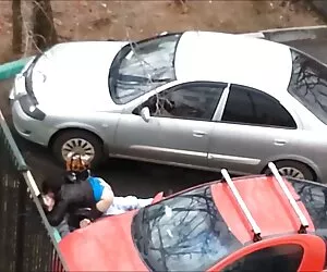 Duży filmy porno darmowe na telefon brzuch, wujek, ludzie pracują z psem